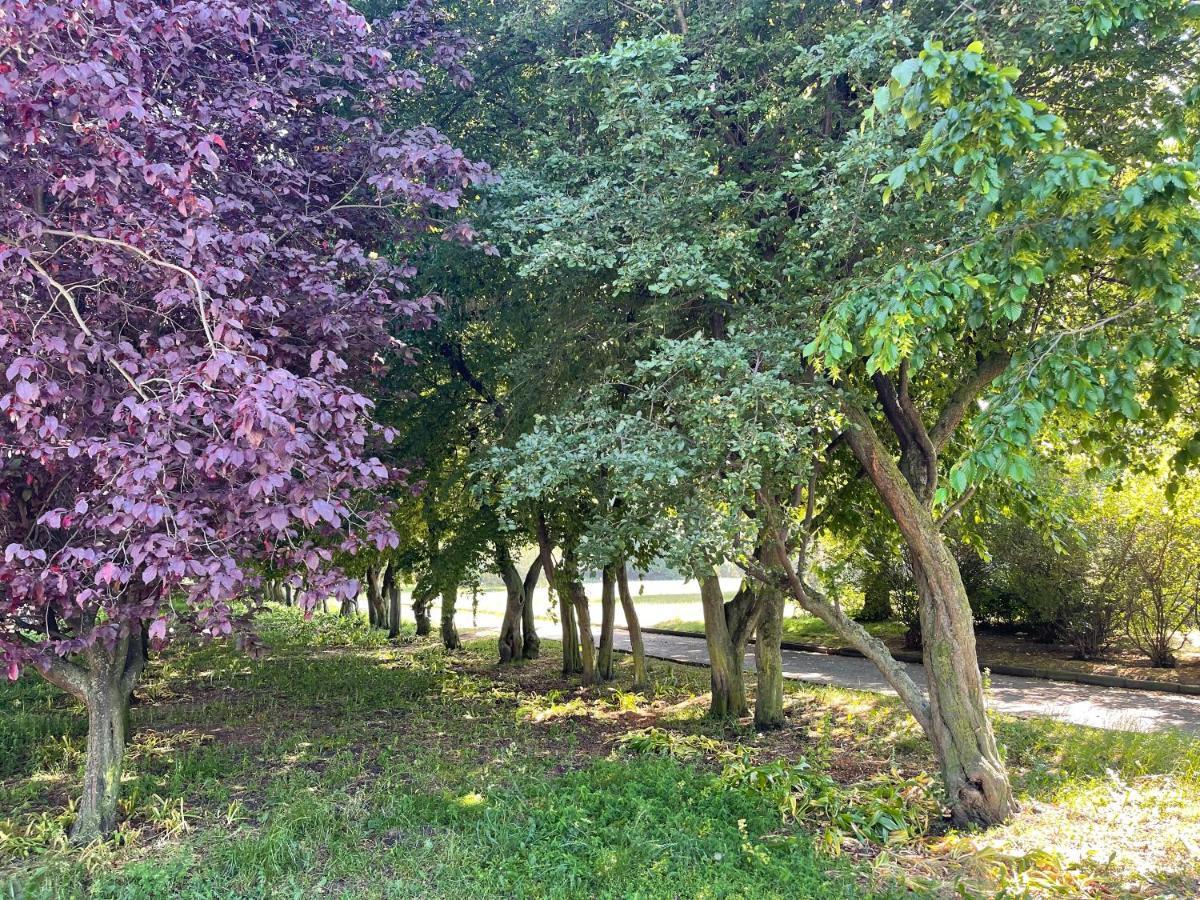 Apartament Przy Plazy Gdynia Centrum公寓 外观 照片